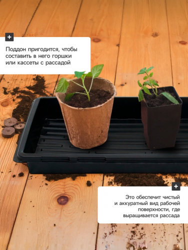 Поддон для рассады, 55×30×5.6 см, пластик, чёрный, Greengo