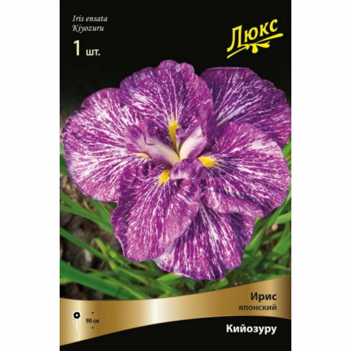 Корневище Ирис японский «Кийозуру», 1 шт., р-р I
