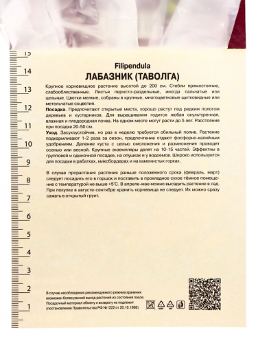 Лабазник красный Венуста, р-р I, 1 шт.