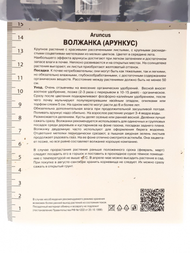 Волжанка двудомная «Горацио», корневище в пакете с торфогрунтом, р-р I, 1 шт.