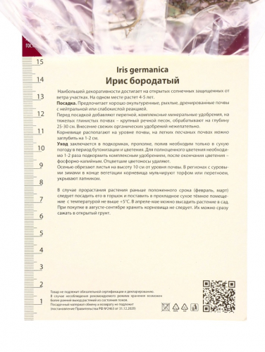 Корневище Ирис бородатый Бьянка, р-р I, 1 шт.