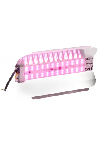 Фитопрожектор для растений Luazon Lighting СДО09-50, светодиодный, 50 Вт, IP65, 220 В, бескорпусный, мультиспектральный