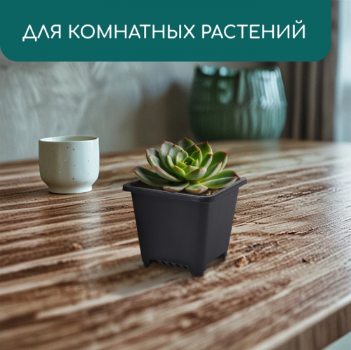 Горшок для рассады, 250 мл, 9×9×8 см, пластик, чёрный, Greengo