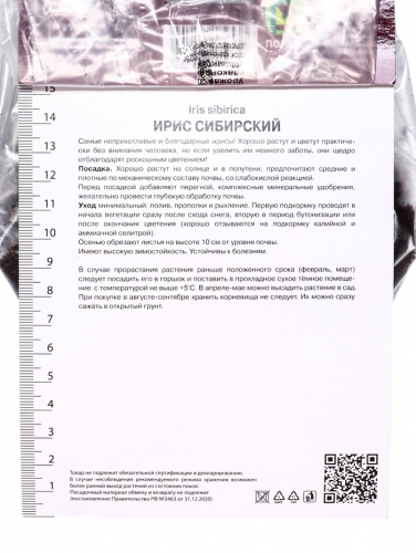 Корневище Ирис сибирский Пёплишес, р-р I, 1 шт.