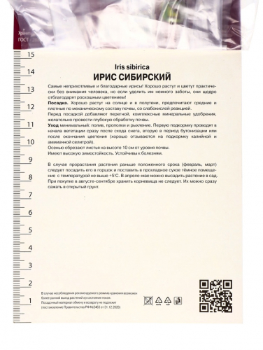 Ирис сибирский Контраст ин Стайлз, р-р I, 1 шт, Осень 2025