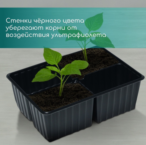 Кассета для рассады, 4 ячейки по 180 мл, пластик, чёрная, 18 × 13 × 6 см, набор 10 шт., Greengo