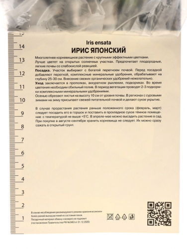 Корневище Ирис японский Шугар Доум, р-р I, 1 шт.