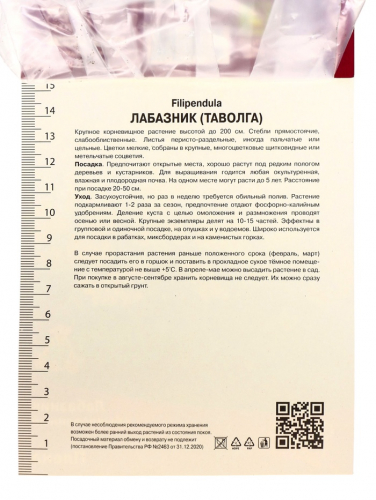 Лабазник обыкновенный Плена, р-р I, 1 шт.