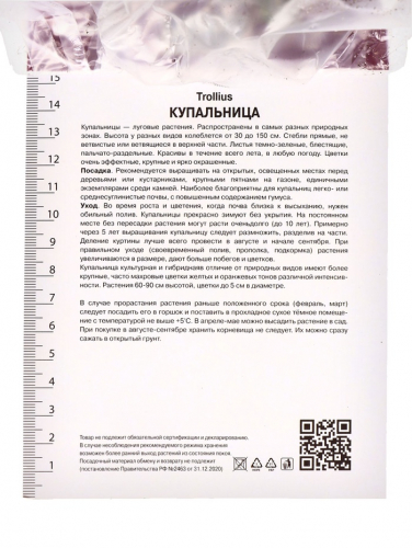 Купальница китайская, р-р I, 1 шт.