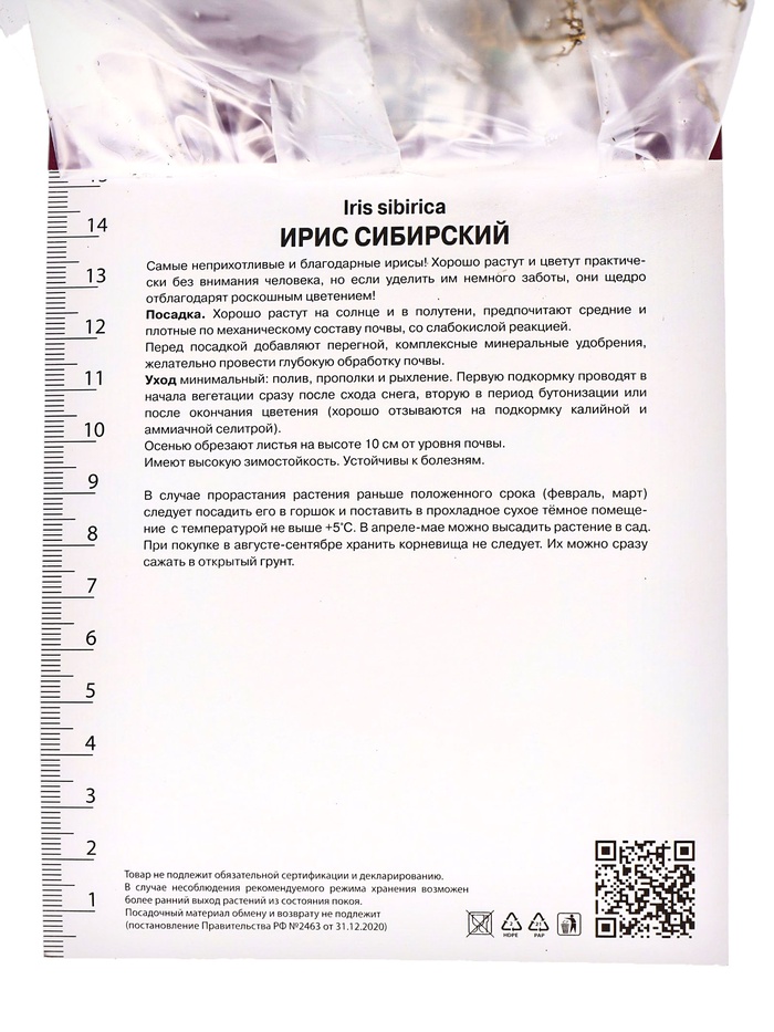 Корневище Ирис сибирский Шугар Раш, р-р I, 1 шт.
