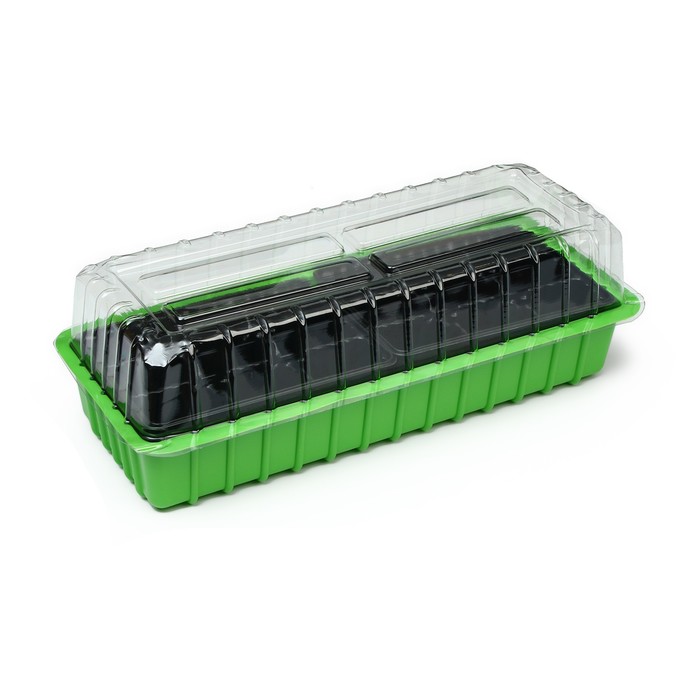 Мини-парник для рассады, 37 × 16 × 13 см, 2 вставки, 18 ячеек, пластик, Greengo