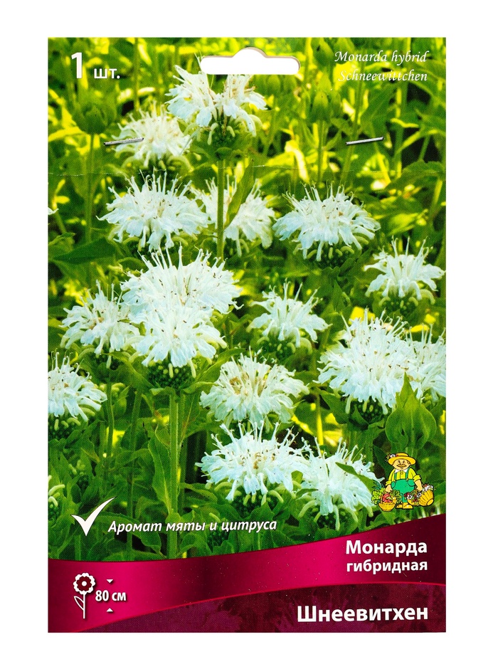 Луковица Монарда гибридная Шнеевитхен, р-р l, 1 шт.
