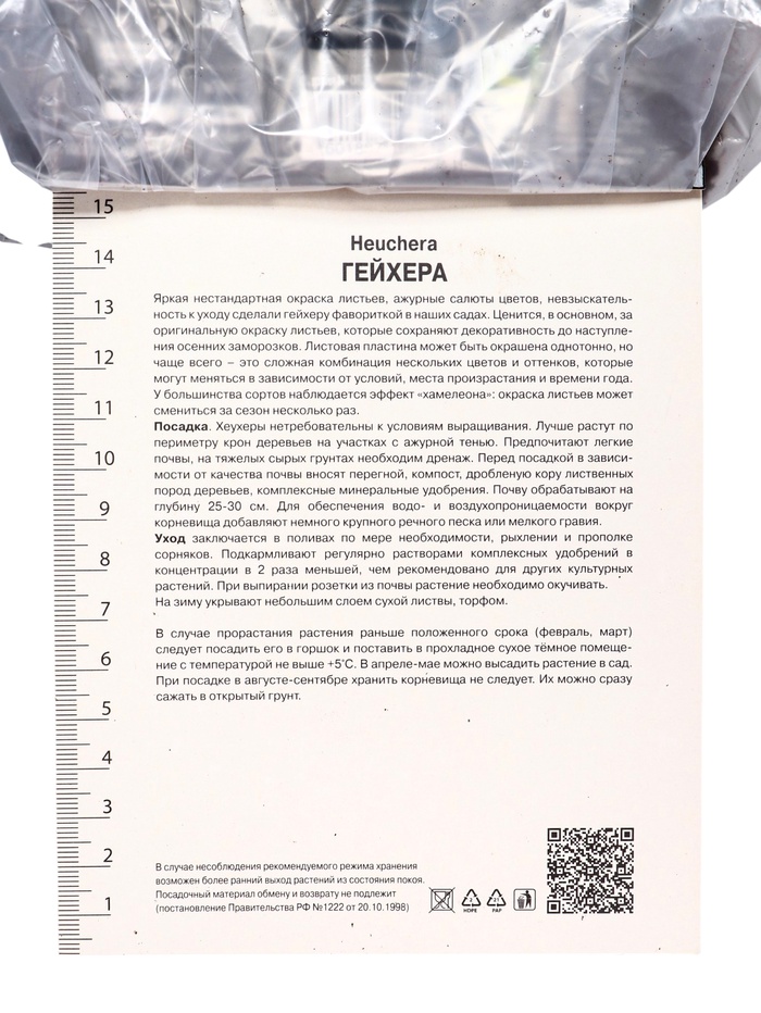 Гейхера (Хеухера) гибридная Берри Смути, корневище в пакете с торфогрунтом, р-р I, 1 шт.