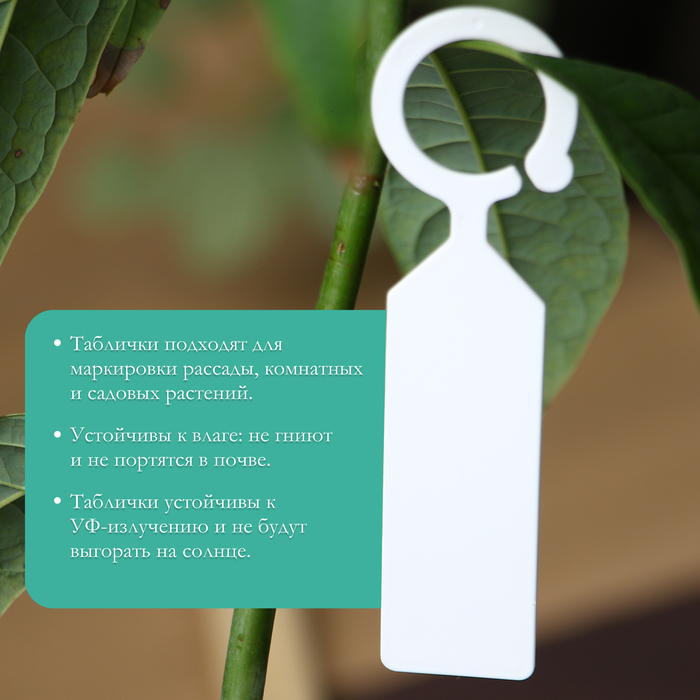 Бирки садовые, для маркировки растений, 10.5 см, набор 20 шт., пластик, МИКС, Greengo