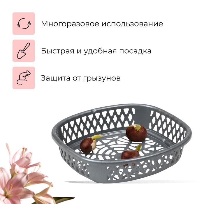 Корзина для посадки луковичных растений, овальная, 30.6×27 см, h=7.5 см, МИКС