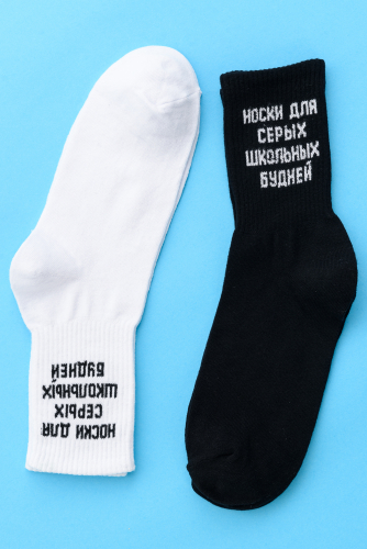 Носки мужские Школьные будни (набор 2 пары)