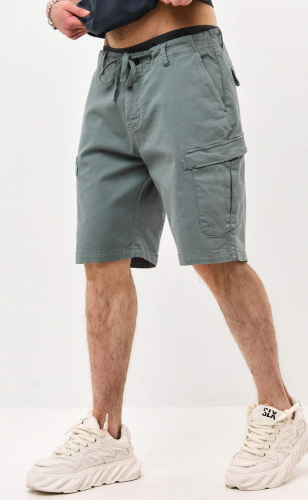 Шорты P511-0955 green