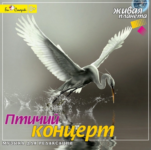 Аудиодиск Птичий концерт. БС 18 07 CD