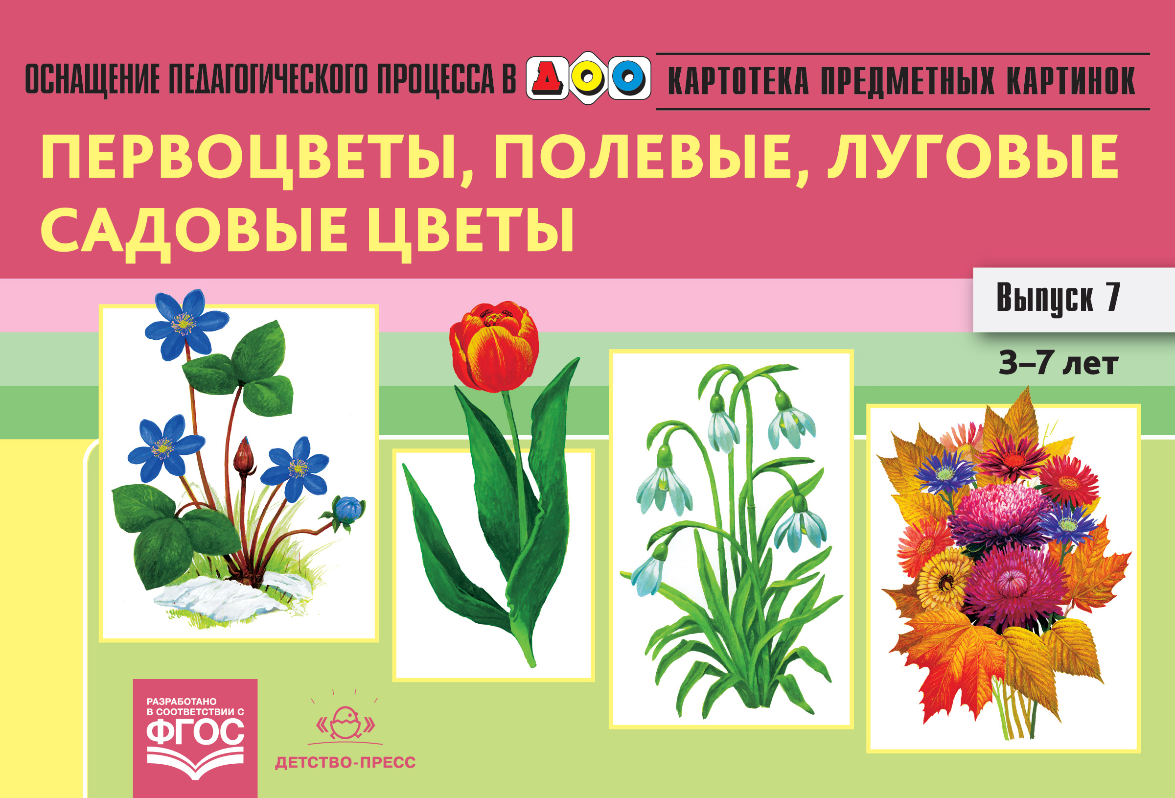 Цветы для дошкольников