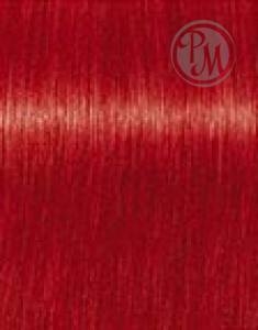 Igora color worx красный 100мл БС