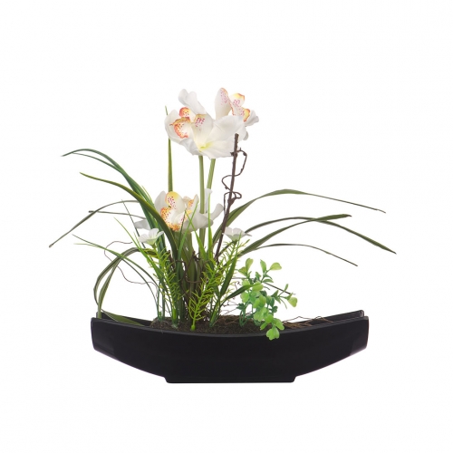 Орхидея в черной ладье 30 см