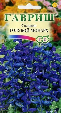 Цветы Сальвия Голубой монарх 0,05 г ц/п Гавриш (однол.)