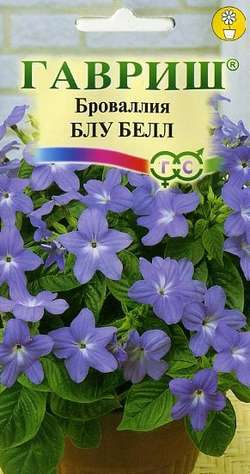 Цветы Броваллия Блу Белл 0,05 г ц/п Гавриш (комн.)