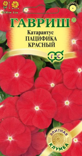 Цветы Катарантус Пацифика Красный 5 шт ц/п Гавриш (однол., комн.)