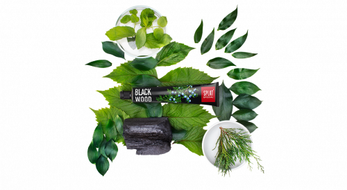 BLACKWOOD Черное дерево  зубная паста
