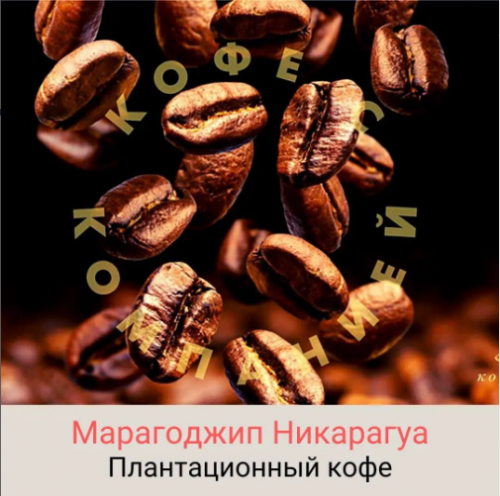 Кофе плантационный: Марагоджип Никарагуа