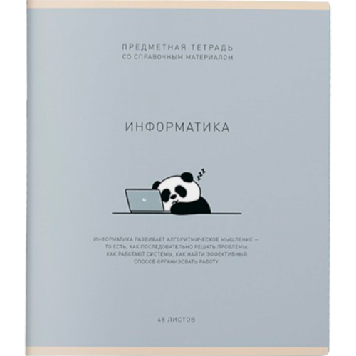 Тетрадь 48 л. клетка Ми-ни-Ми Информатика 022495 в Нижнем Новгороде