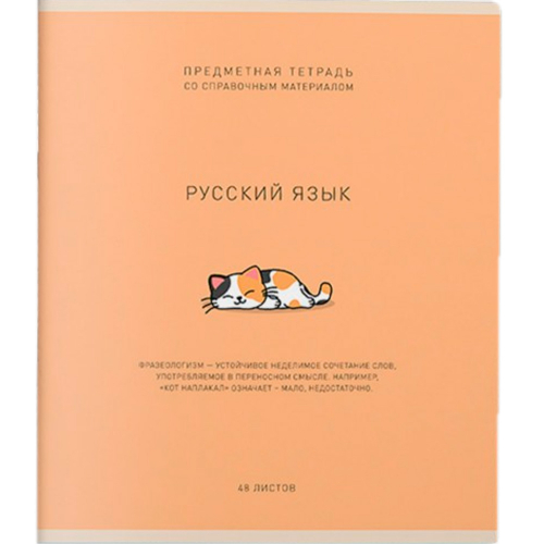 Тетрадь 48 л. Линия Ми-ни-Ми Русский язык 022471 в Нижнем Новгороде