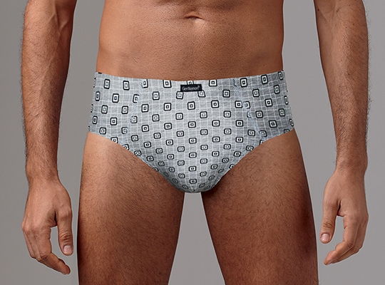 Трусы мужские слип (2 шт) Gentlemen 7266гпТм