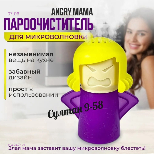 Пароочиститель 1942471-1