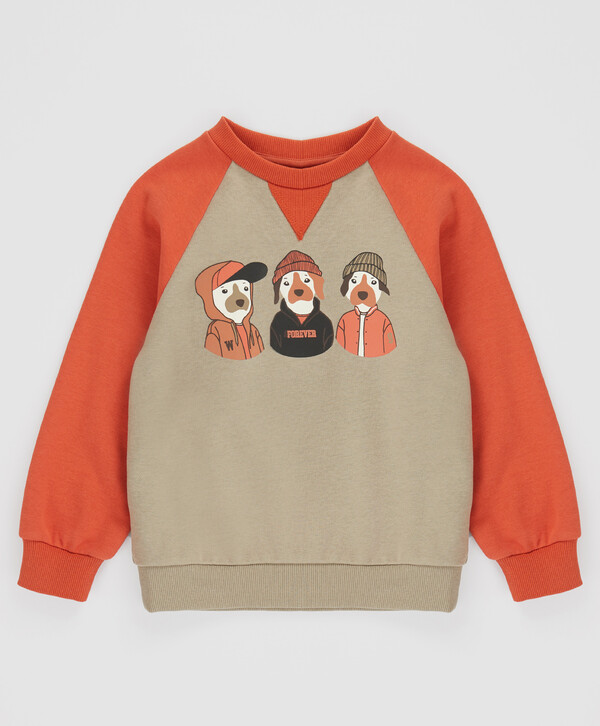 1120 р.  1400 р.  Свитшот с собачками оранжевый для мальчика Button Blue