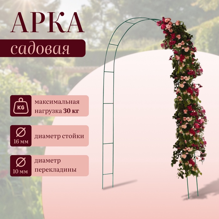 Арка садовая, 240×125×20 см, для вьющихся растений, металлическая, зелёная