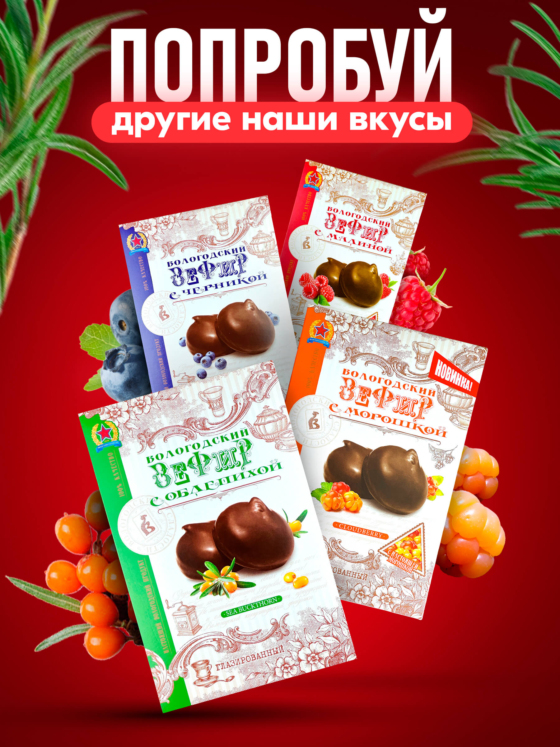 Зефир Вологодский в шоколаде