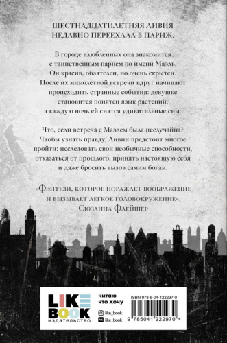Уценка. Кира Лихт. Золото и тень
