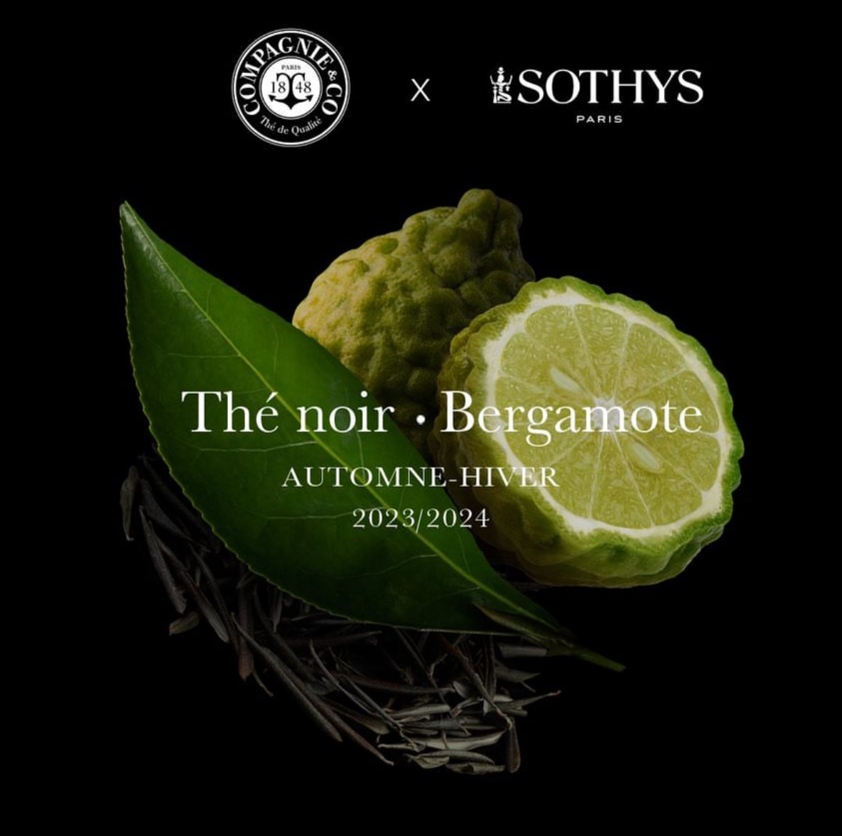 Sothys SO S350532 PROF TREATMENT AW 23 20 проц Профессиональный уход 'Черный чай - бергамот'