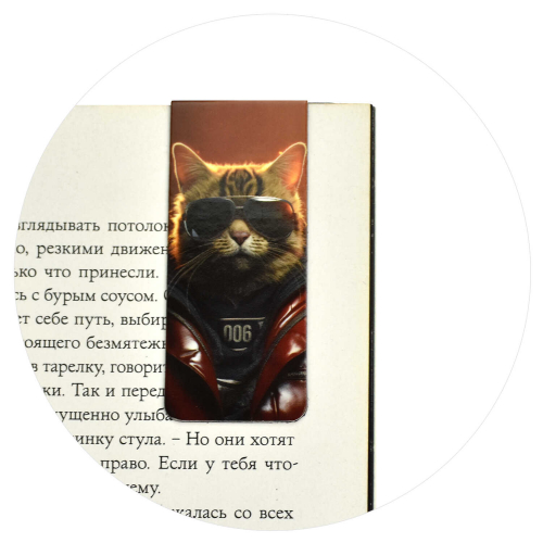 Набор закладок магнитных для книг размер 25х58 мм, 4 шт. в наборе, полноцветный дизайн, глянцевая ламинация