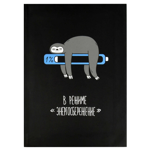 Записная книжка, формат А6+, 120х165 мм, 96 листов, интегральный переплёт, матовая ламинация, недатированный
