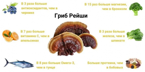 НОВИНКА! ЦИКОРИЙ с экстрактом гриба РЕЙШИ