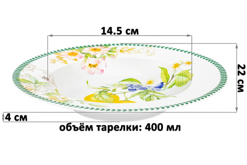 БЫЛО 1246 руб! Набор тарелок 2 пр. 400 мл 22*22*4 см 