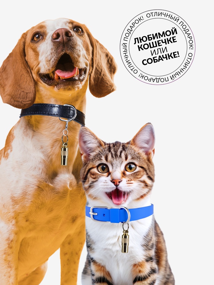 Адресник-капсула под записку, 0,9 х 2,75 см, золотой