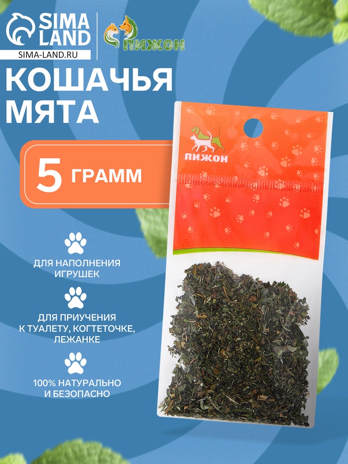 Кошачья мята