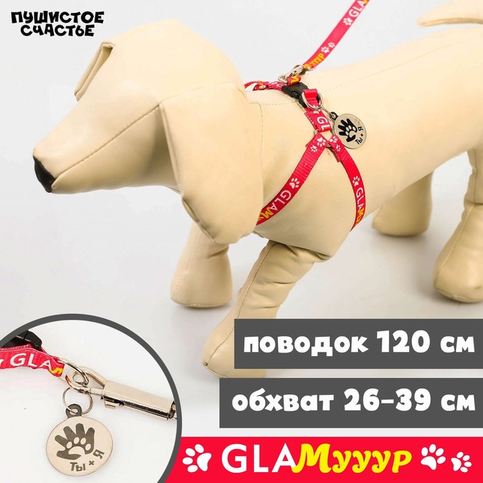 Поводок «Ты и я» 120×1 см, шлейка 26-39 см, медальон