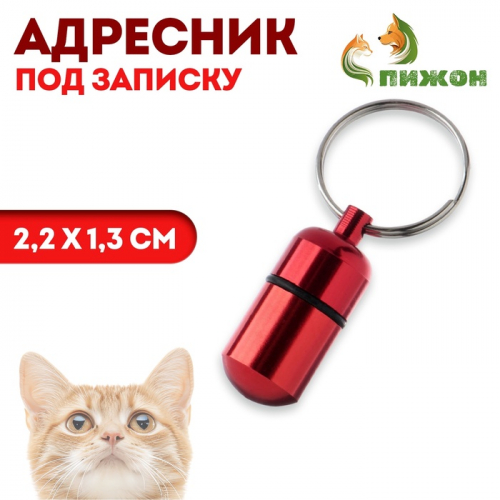 Адресник - капсула под записку, 2,2 х 1,3 см, бордовый