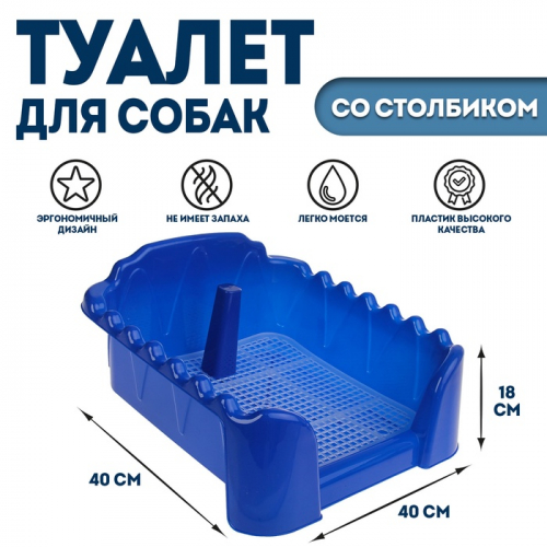 Туалет 