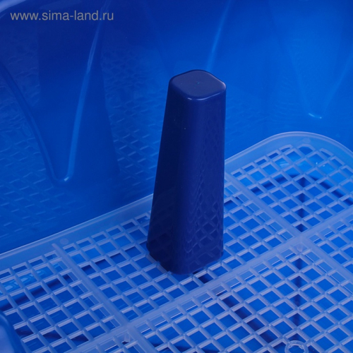 Туалет 