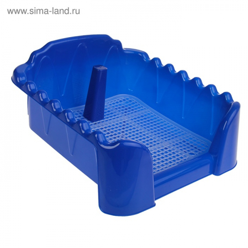 Туалет 